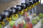 Processing and Production of Concentrated Juice фото номер 4