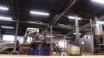 Processing and Production of puree фото номер 2