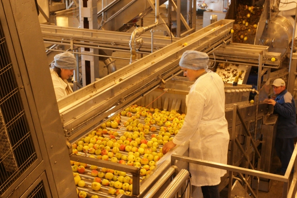 fruit and vegetable processing plant
