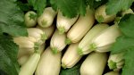 Vegetable Growing фото номер 3