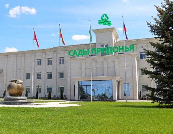 2022 год