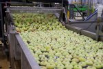 Fruit Storage фото номер 5