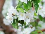 Gardening фото номер 3