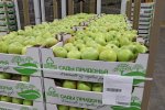 Fruit Storage фото номер 8