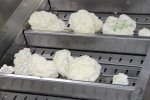 Processing and Production of puree фото номер 7
