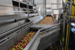 Processing and Production of puree фото номер 6