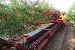 Agricultural Production фото номер 6
