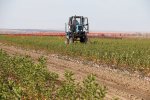 Nursery farming фото номер 4