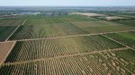 Agricultural Production фото номер 1