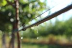 Drip irrigation фото номер 3
